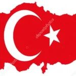 Fiiller Tyt Soru 2024